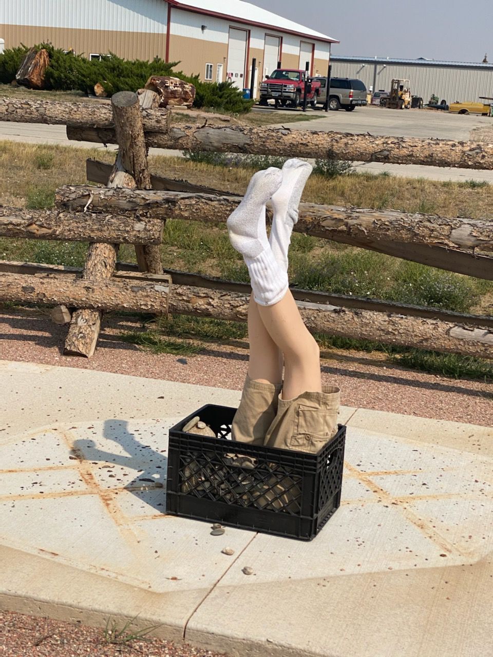 Missing horse statue replacement